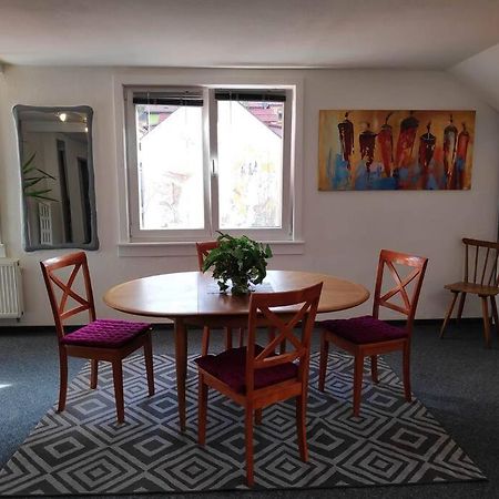 Grosse 130 M2 Gemuetliche Wohnung Im Herzen Tribergs トリベルク エクステリア 写真