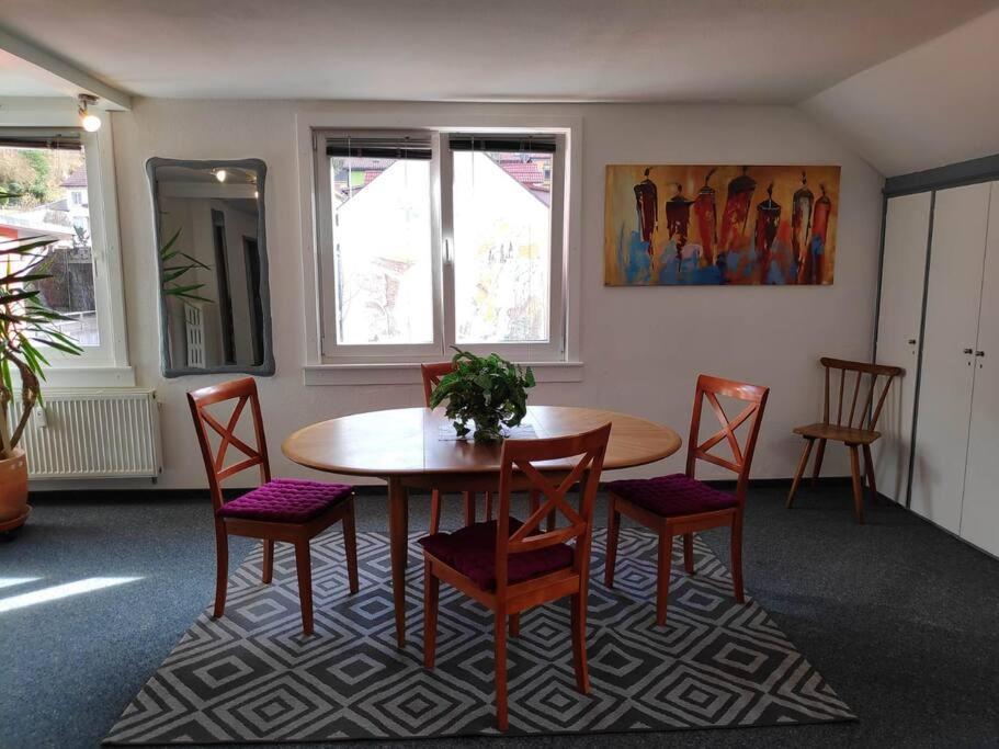 Grosse 130 M2 Gemuetliche Wohnung Im Herzen Tribergs トリベルク エクステリア 写真