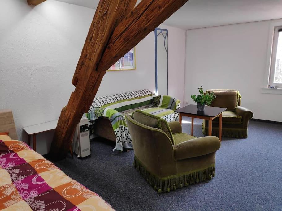 Grosse 130 M2 Gemuetliche Wohnung Im Herzen Tribergs トリベルク エクステリア 写真